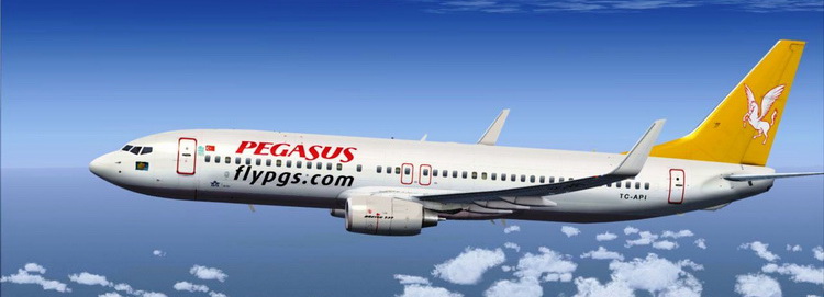 Ливрея авиакомпании Pegasus Airlines (Пегасус)